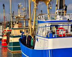 Lernen Sie mehr über die Fischerei am Tag des offenen Hafens in Hvide Sande