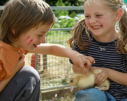 Im Zoo können Kinder die Tiere hautnah erleben